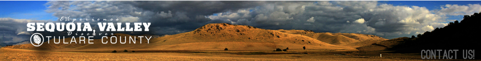 Experience Sequoia Valley/Discover Tulare County logo