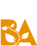 Bayside Auburn Church logo
