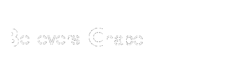 Believers Chapel logo
