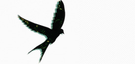 CalhounYouth.com logo