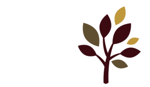 Evangelical Free Church of Willmar logo