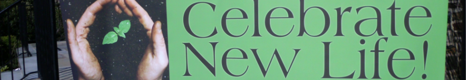 First Baptist Church of Westfield logo