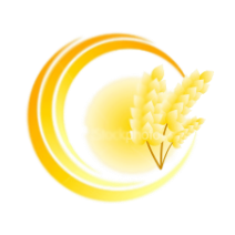 Harvest Life Christian Church logo