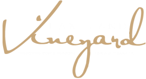 Lakeland Vineyard Christian Fellowship   |   Lakeland, Florida logo