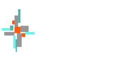 Nehemiah Project Church Nehemiah Project Church logo