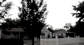 The Vine Community Church logo