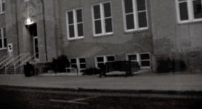 The Vine Community Church logo