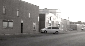 The Vine Community Church logo