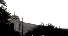 The Vine Community Church logo