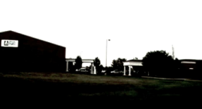 The Vine Community Church logo