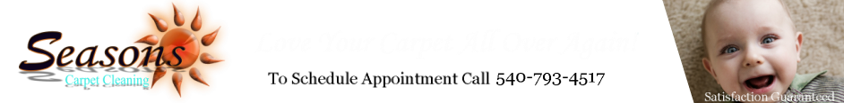 Seasons Carpet Cleaning Seasons Carpet Cleaning logo